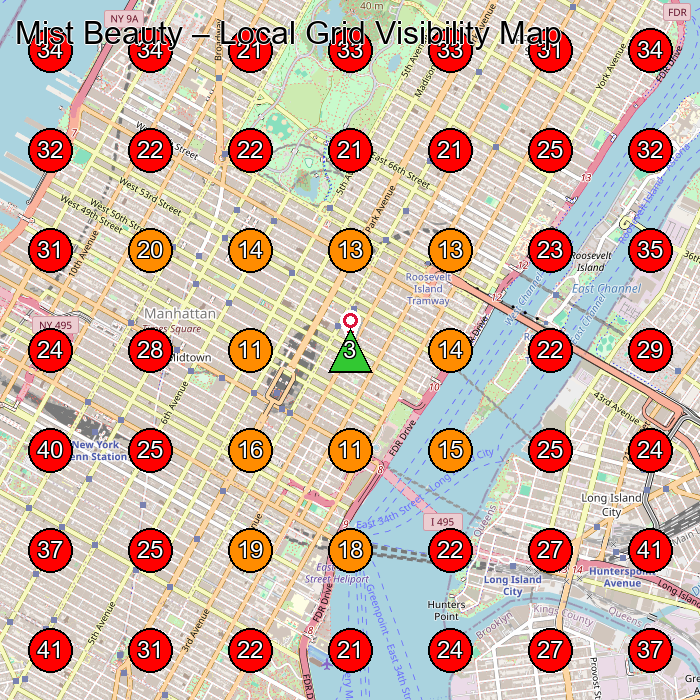 Mist Beauty GeoGrid visibility map for Facial Spa in New York